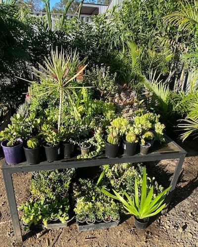 Outdoor Nursery — Howard Landscape and Produce Supplies in Howard, QLD