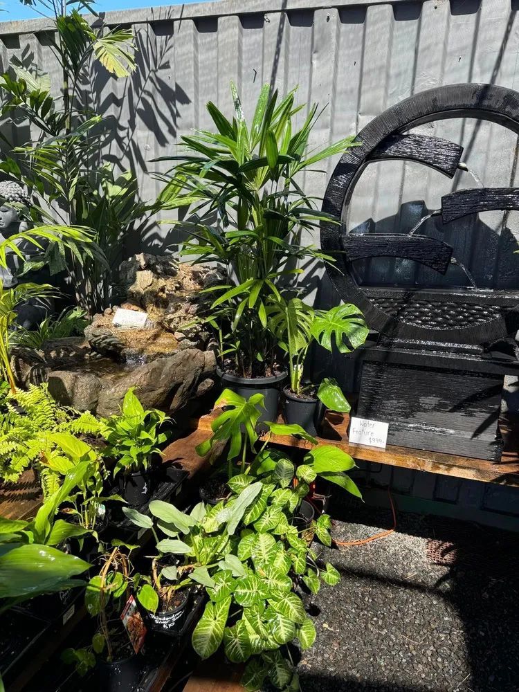 A Bunch of Potted Plants on a Table — Howard Landscape and Produce Supplies in Hervey Bay, QLD