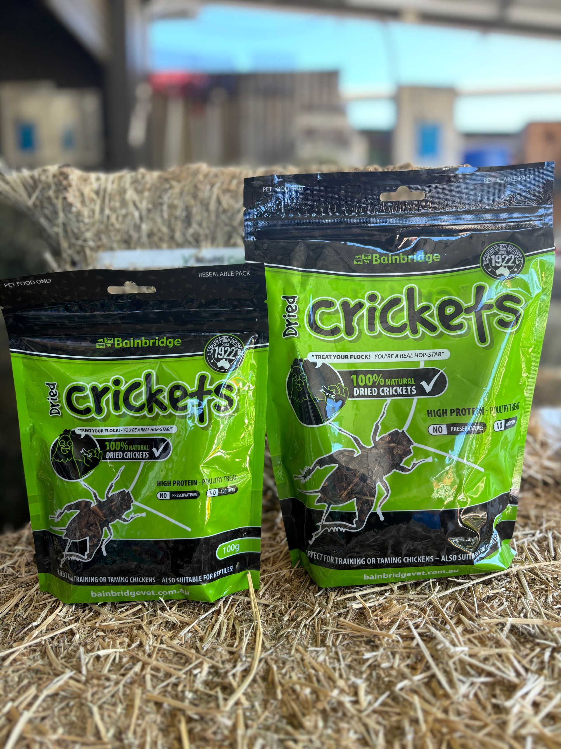 Bainbridge Dried Crickets