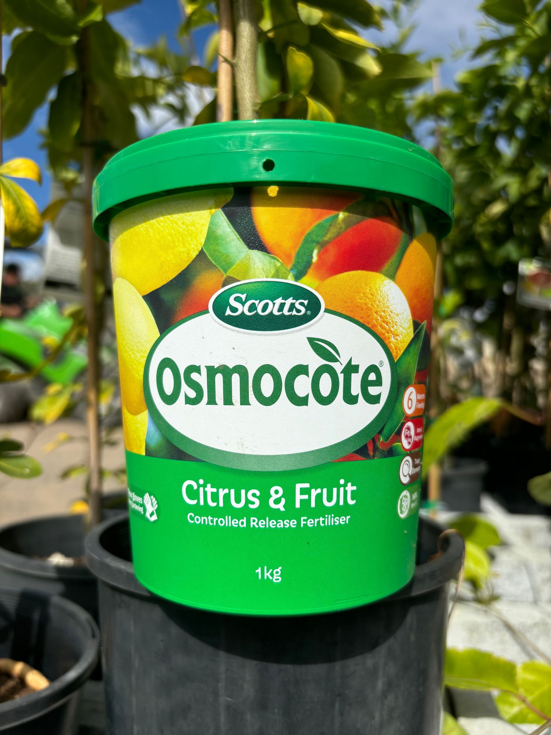 SCOTTS Osmocote Citrus & Fruit Controlled Release Fertiliser