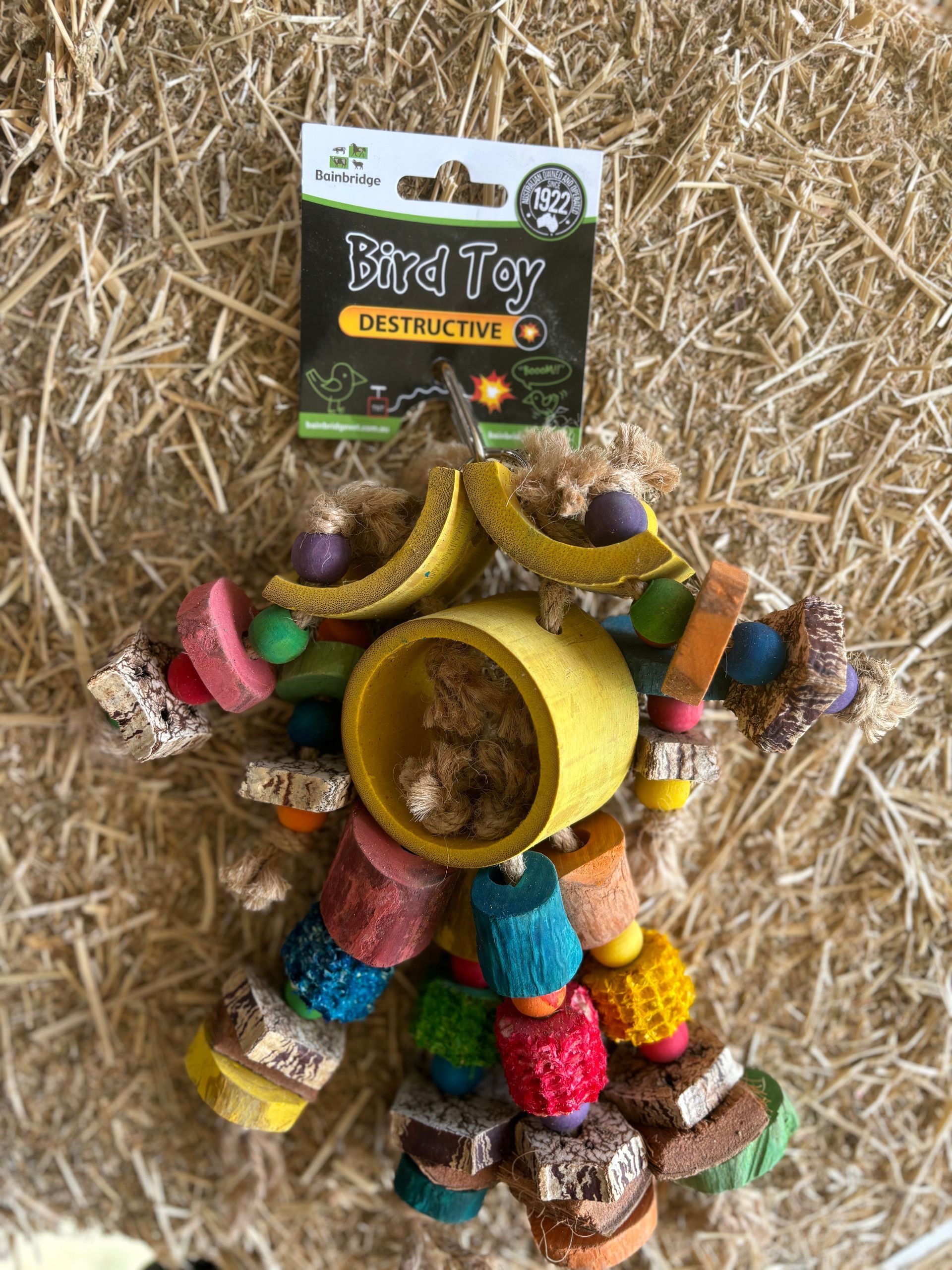 Bainbridge Bird Toy ~ Cluster Robot