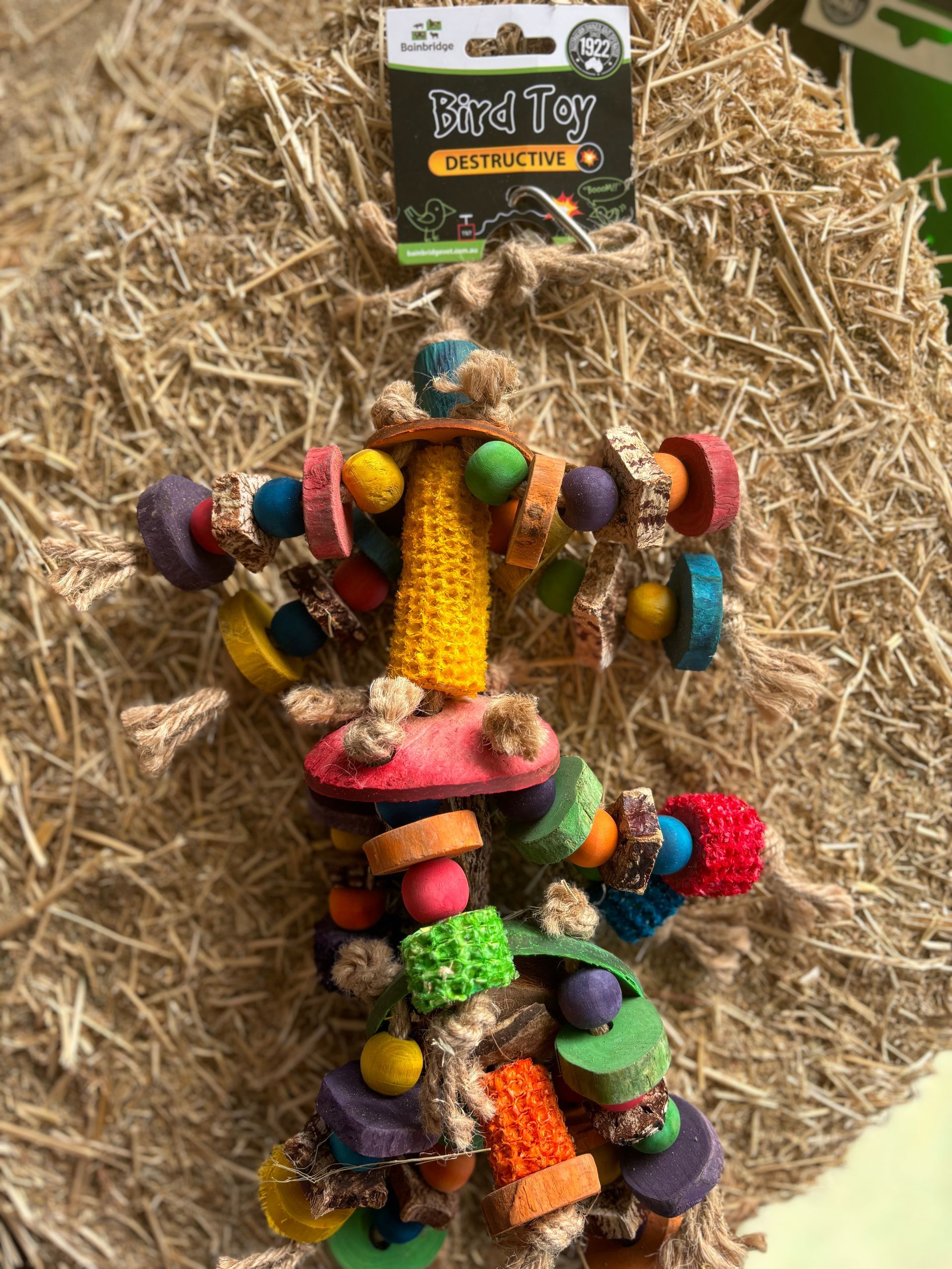 Bainbridge Bird Toy ~ Colour Cluster
