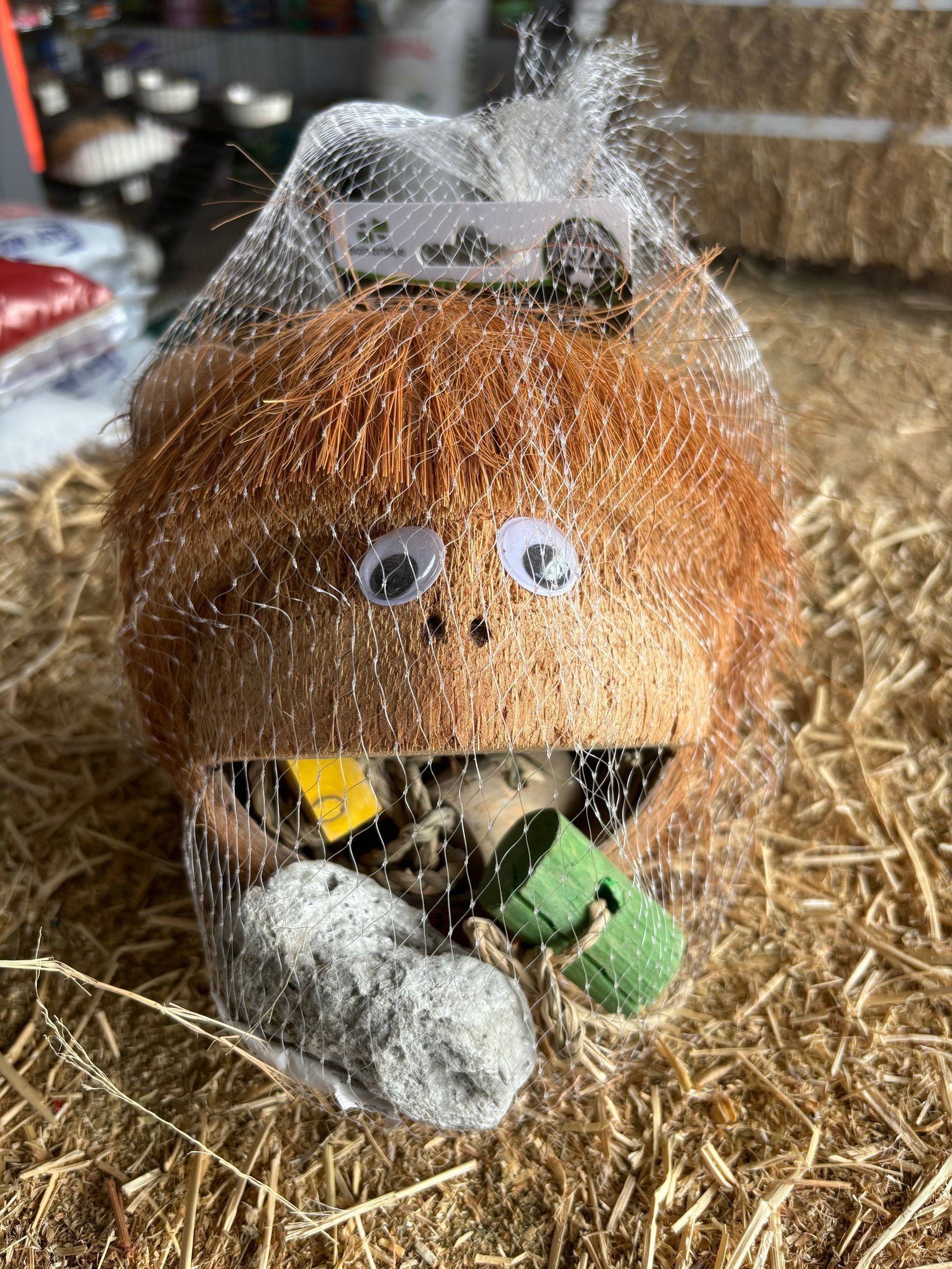 Bainbridge Bird Toy ~ Cheeky Monkey