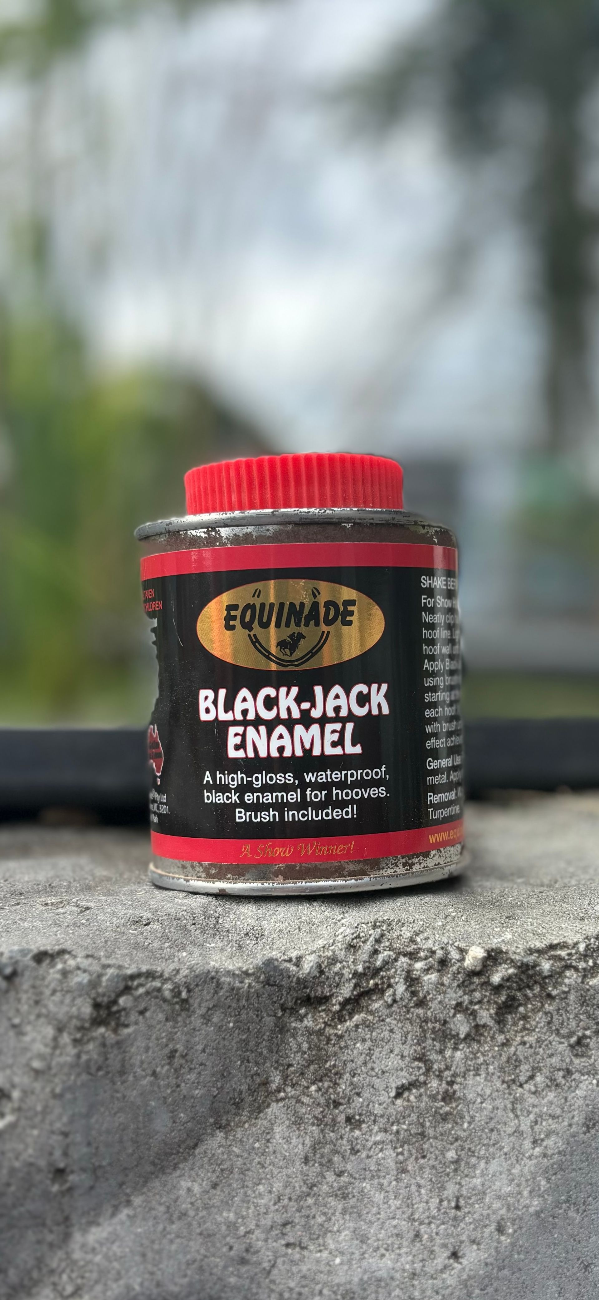 Equinade Black-jack Enamel