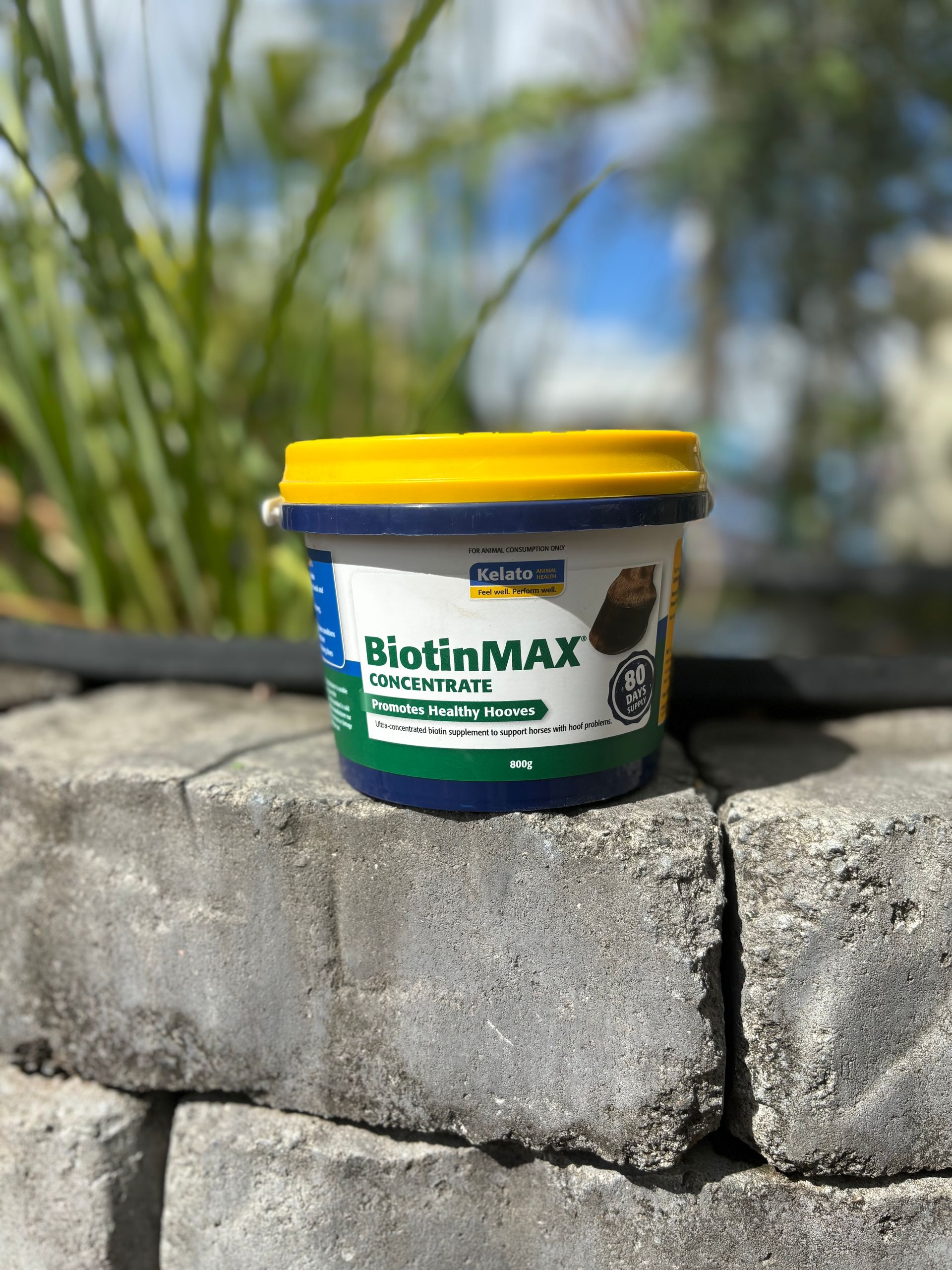 Kelato Biotinmax 800g
