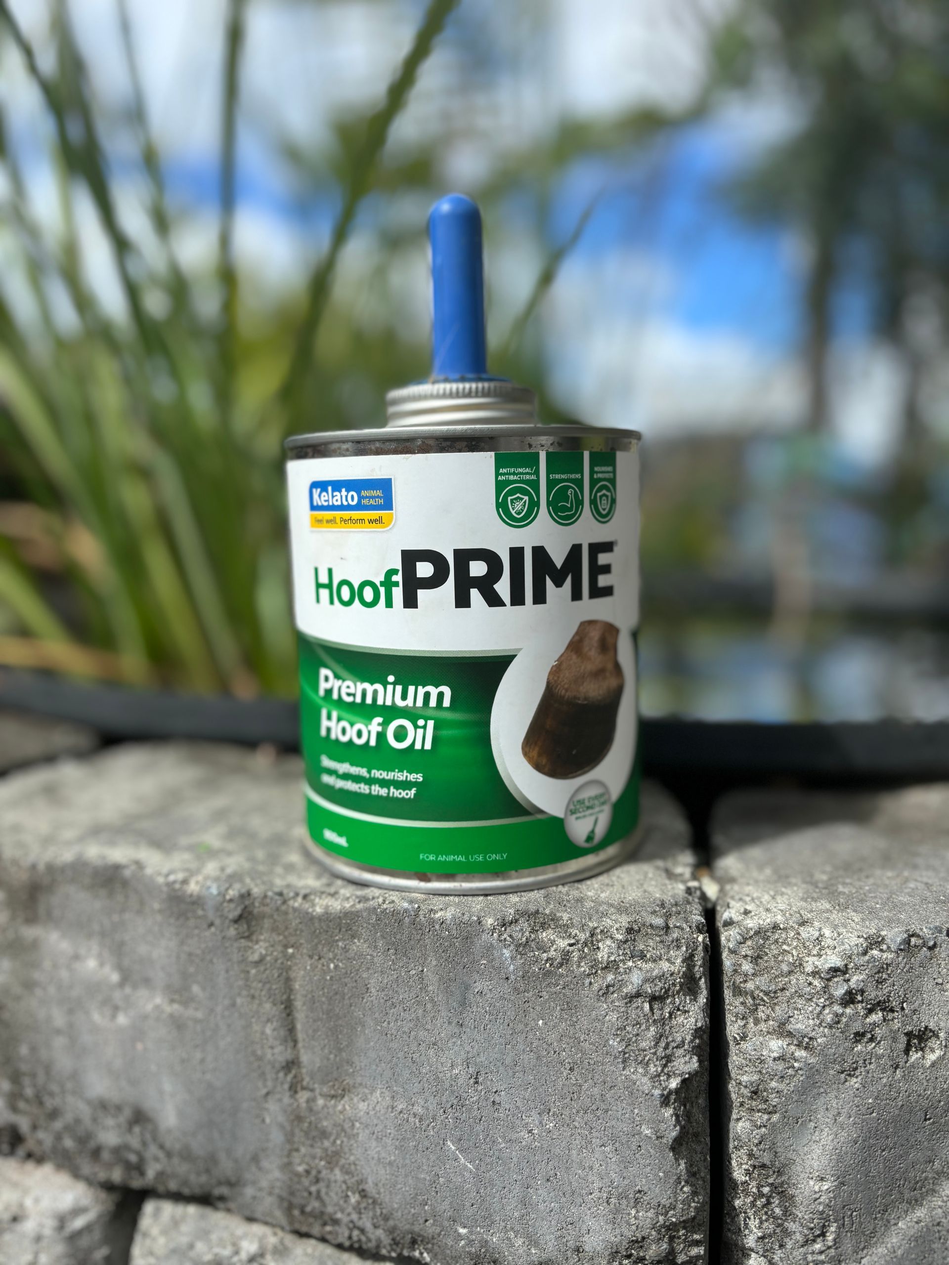 Kelato Hoof Prime Premium Hoof Oil 900ml