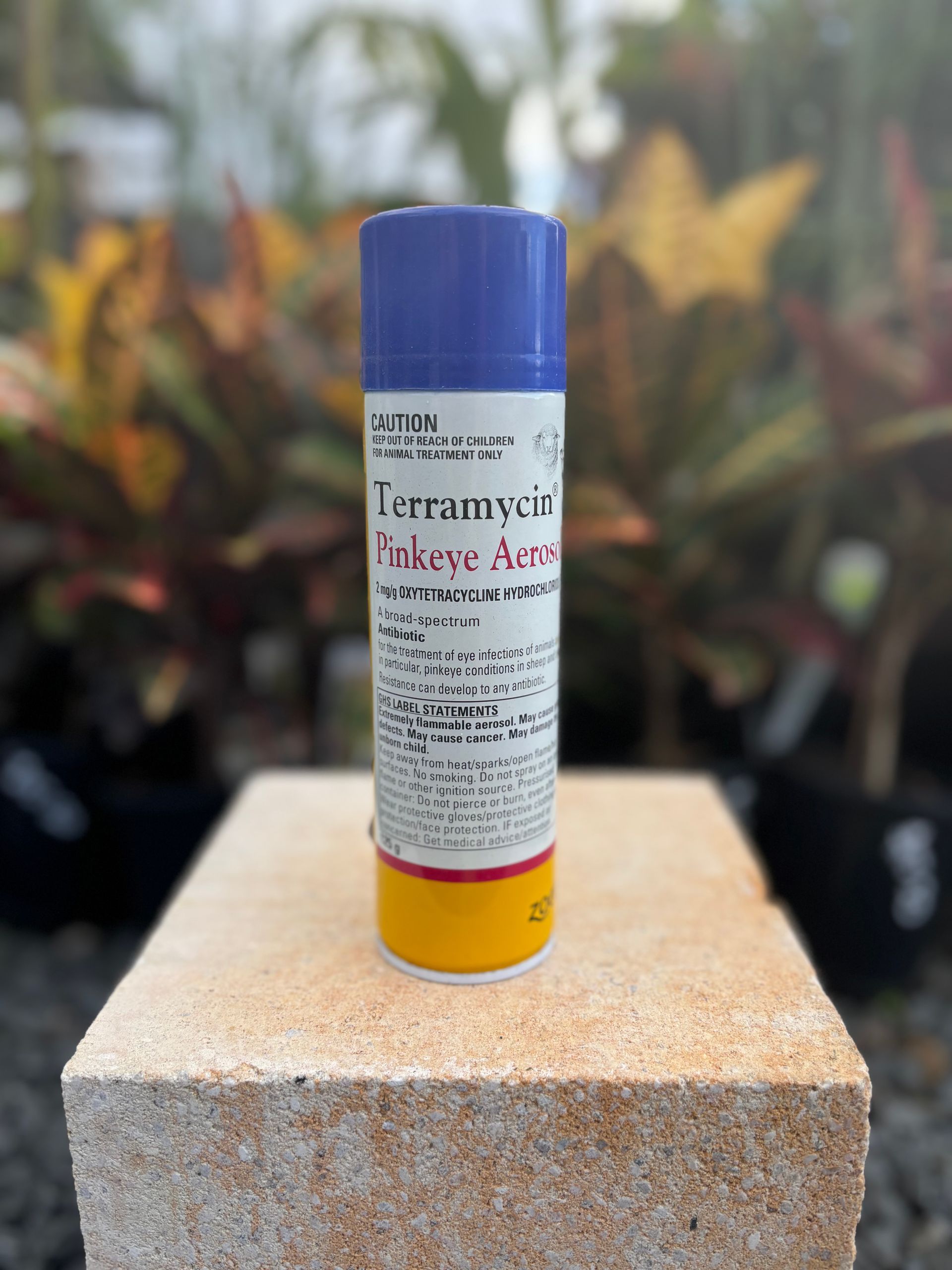Terramycin Pinkeye Aerosol