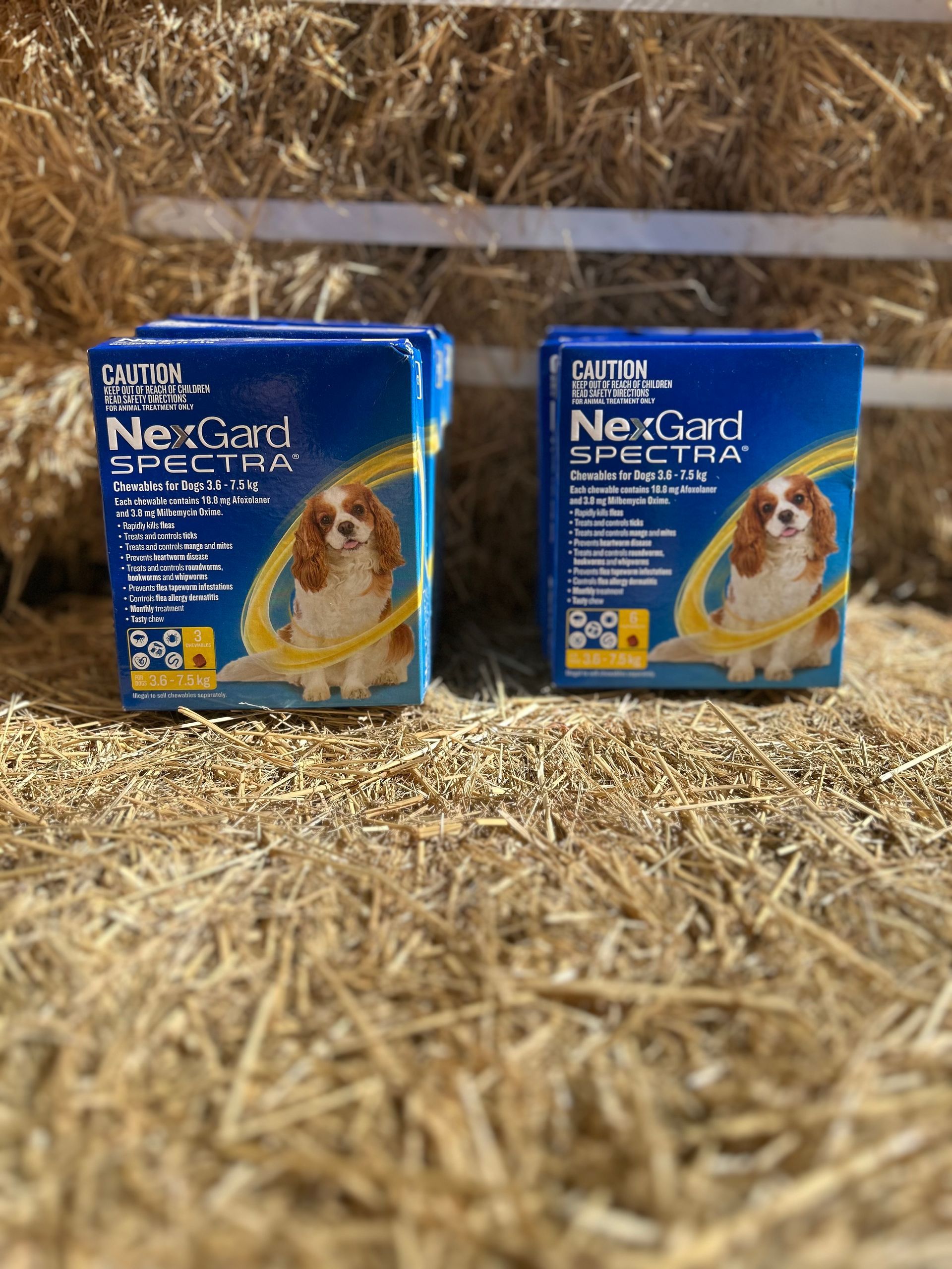 NexGard Spectra Chewables for Dog 3.6-7kg