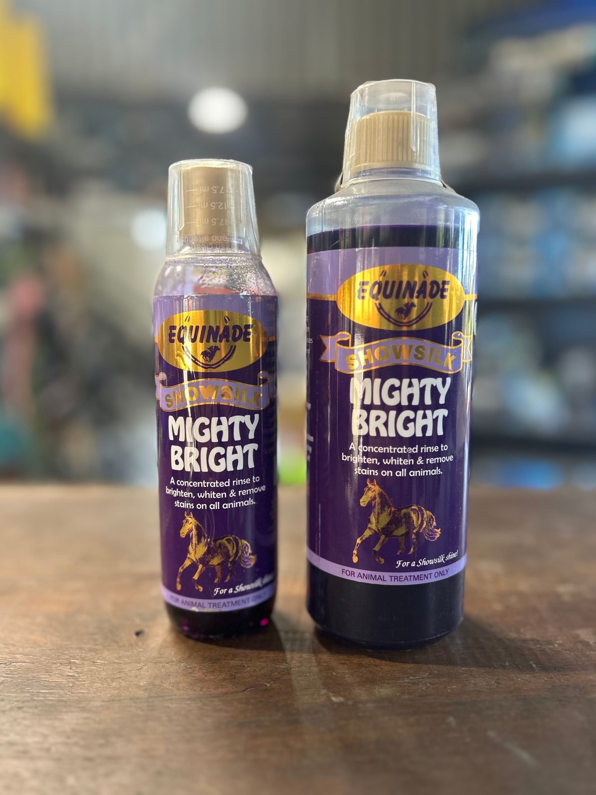 Equinade Showsilk Mighty Bright