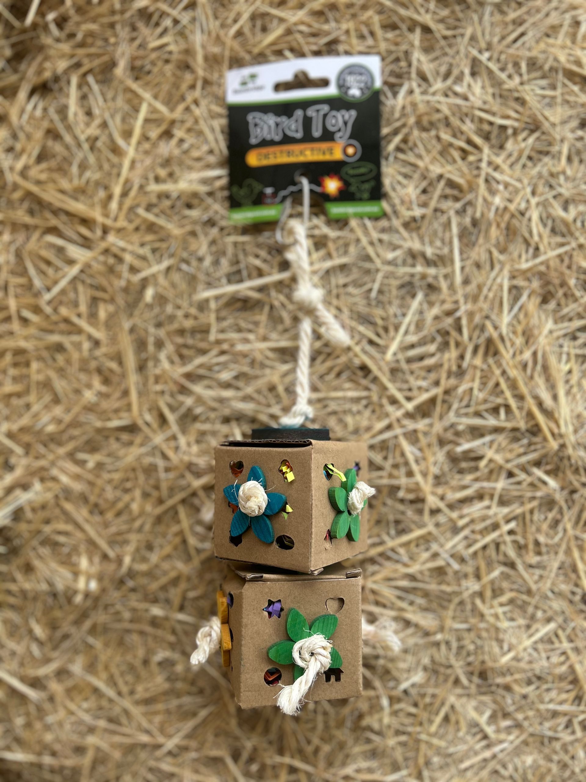 BAINBRIDGE Bird Toy - Double Activity Box