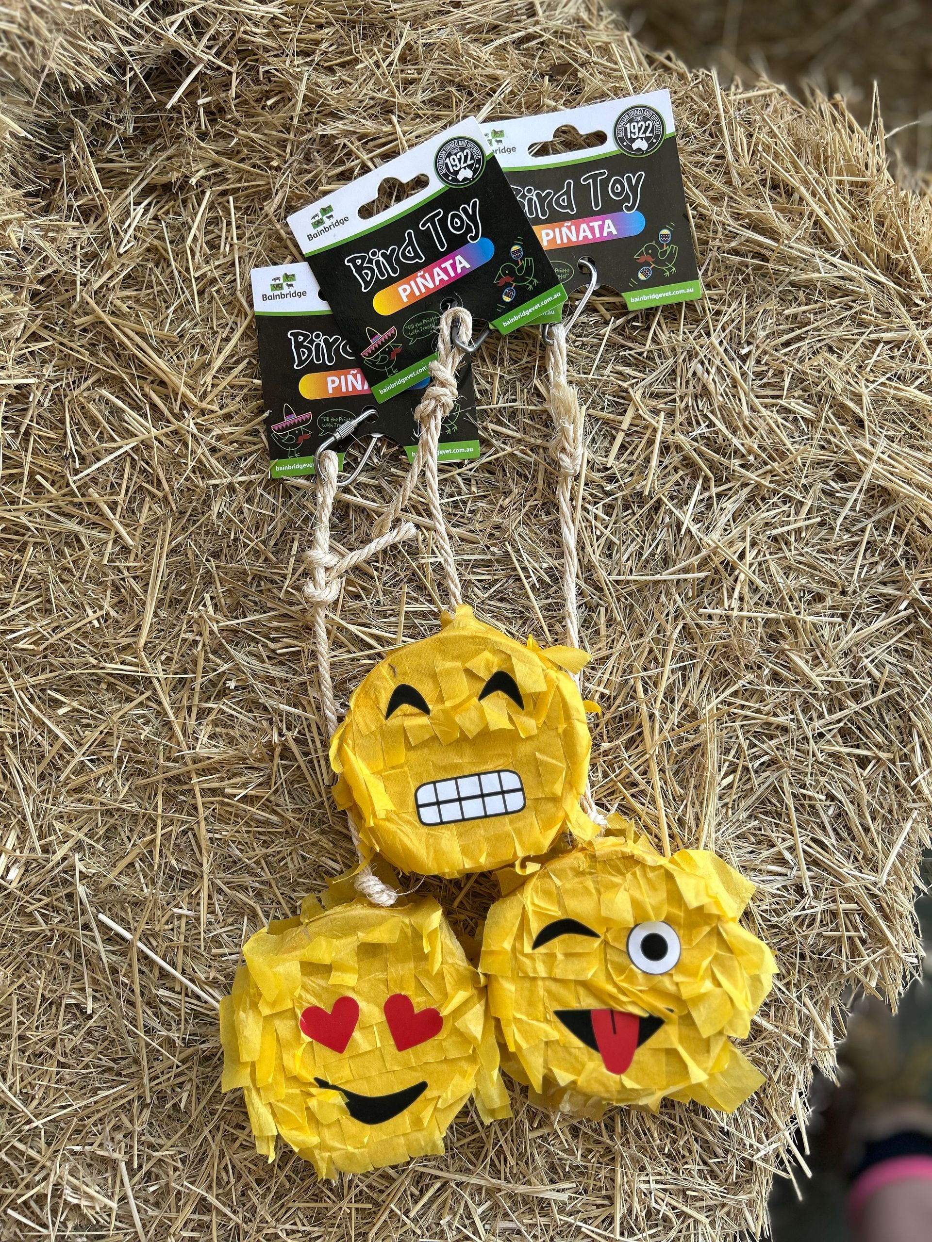 BAINBRIDGE Bird Toy Emoji Pinata