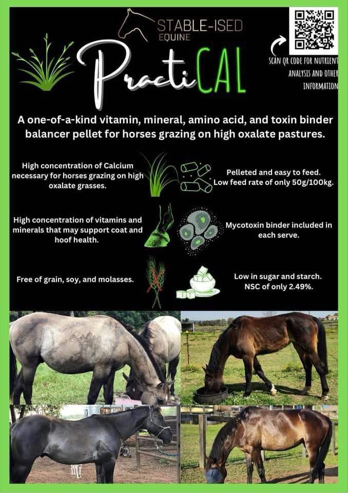PractiCAL