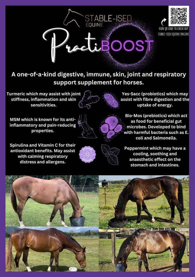 PractiBOOST