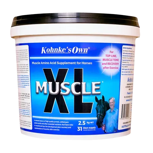 Kohnke's Own Muscle XL 1kg