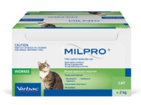 Milpro Cat