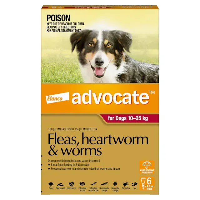 Advocate- Fleas, Heartworm and Worms