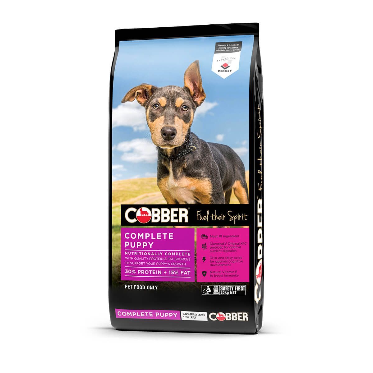 Cobber - Complete Puppy