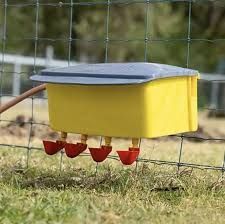 Bainbridge Automatic Poultry Waterer With Stand