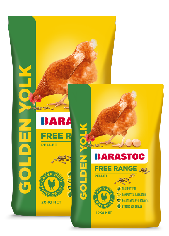 Barastoc Golden Yolk