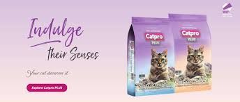 Catpro Plus Chicken & Beef