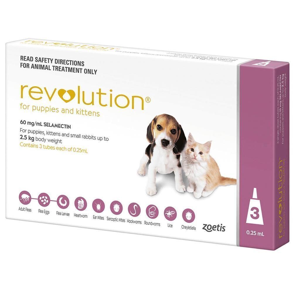 Revolution - Puppies and Kittens
