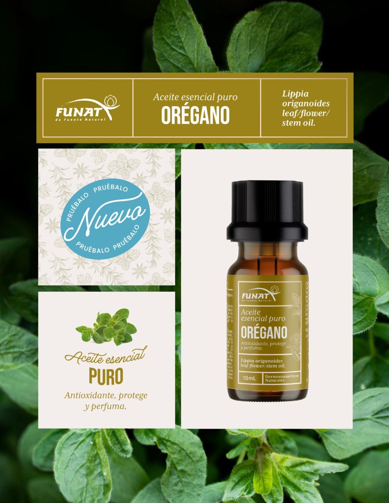 Frasco de aceite esencial de orégano con hojas verdes y etiqueta dorada sobre un panel de producto blanco y verde oliva.