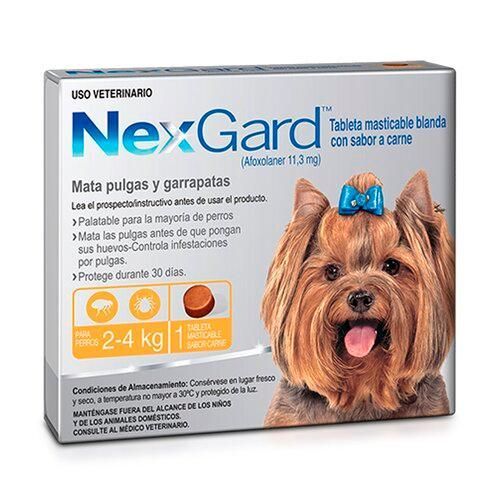 Boehringer Nexgard C 2-4 Kg Boehringer