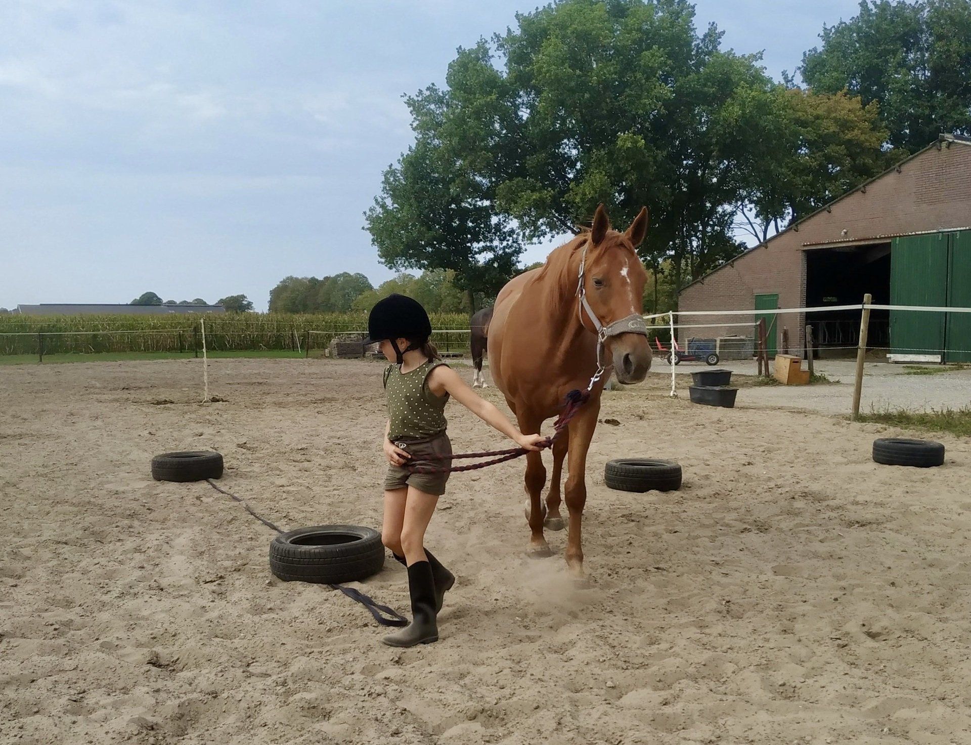 Bijles, basisschool, schoolprestaties