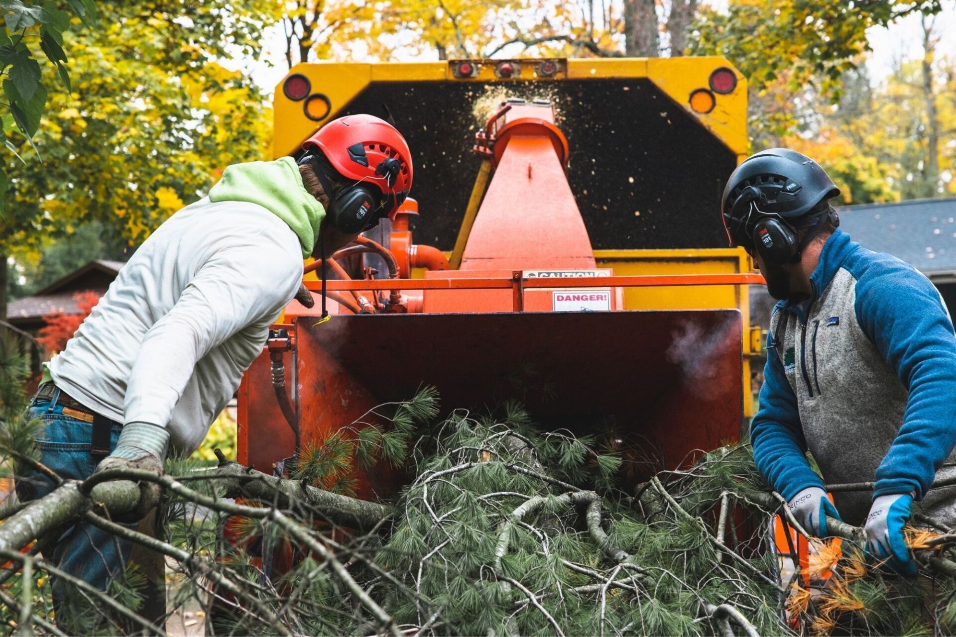 Joe Tree Service Nassau & Suffolk Tree Service Joe Tree Service