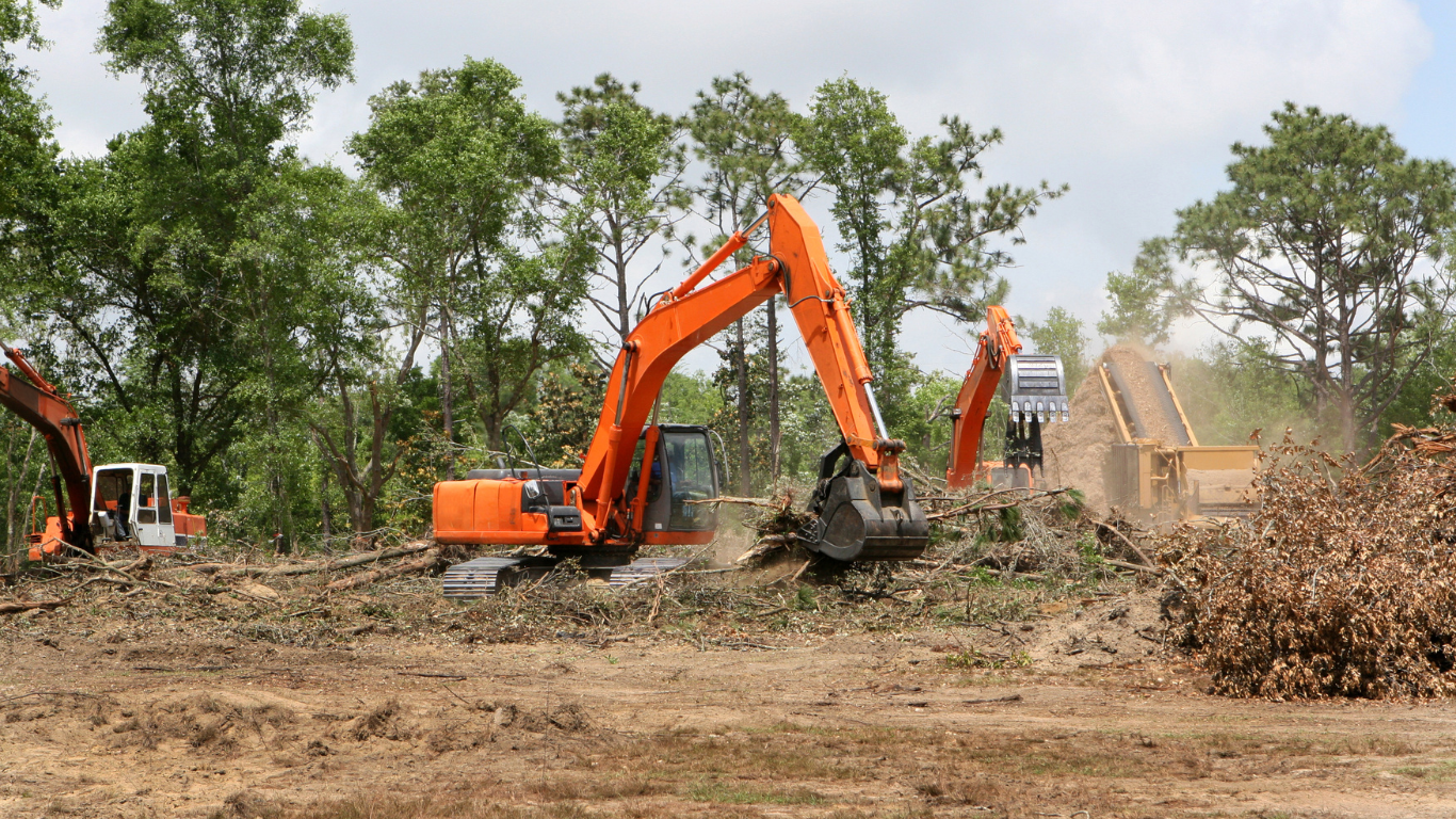 Tree Removal