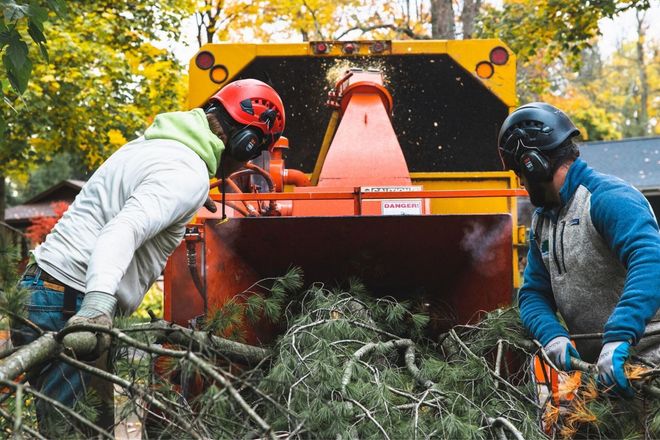 Joe Tree Service Joe Tree Service