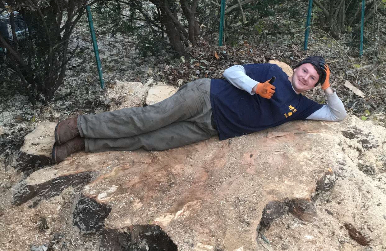Tree Removal