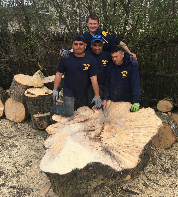 Joe Tree Service
