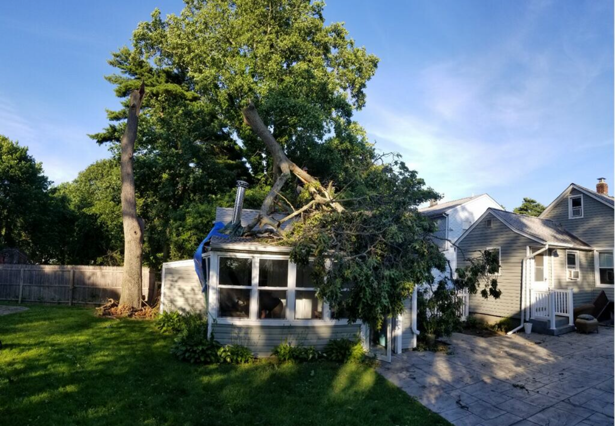 Tree Removal Copiague
