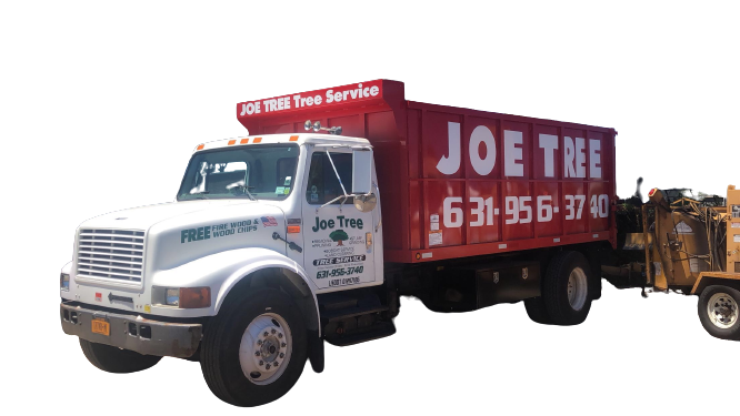 Emergency Tree Removal