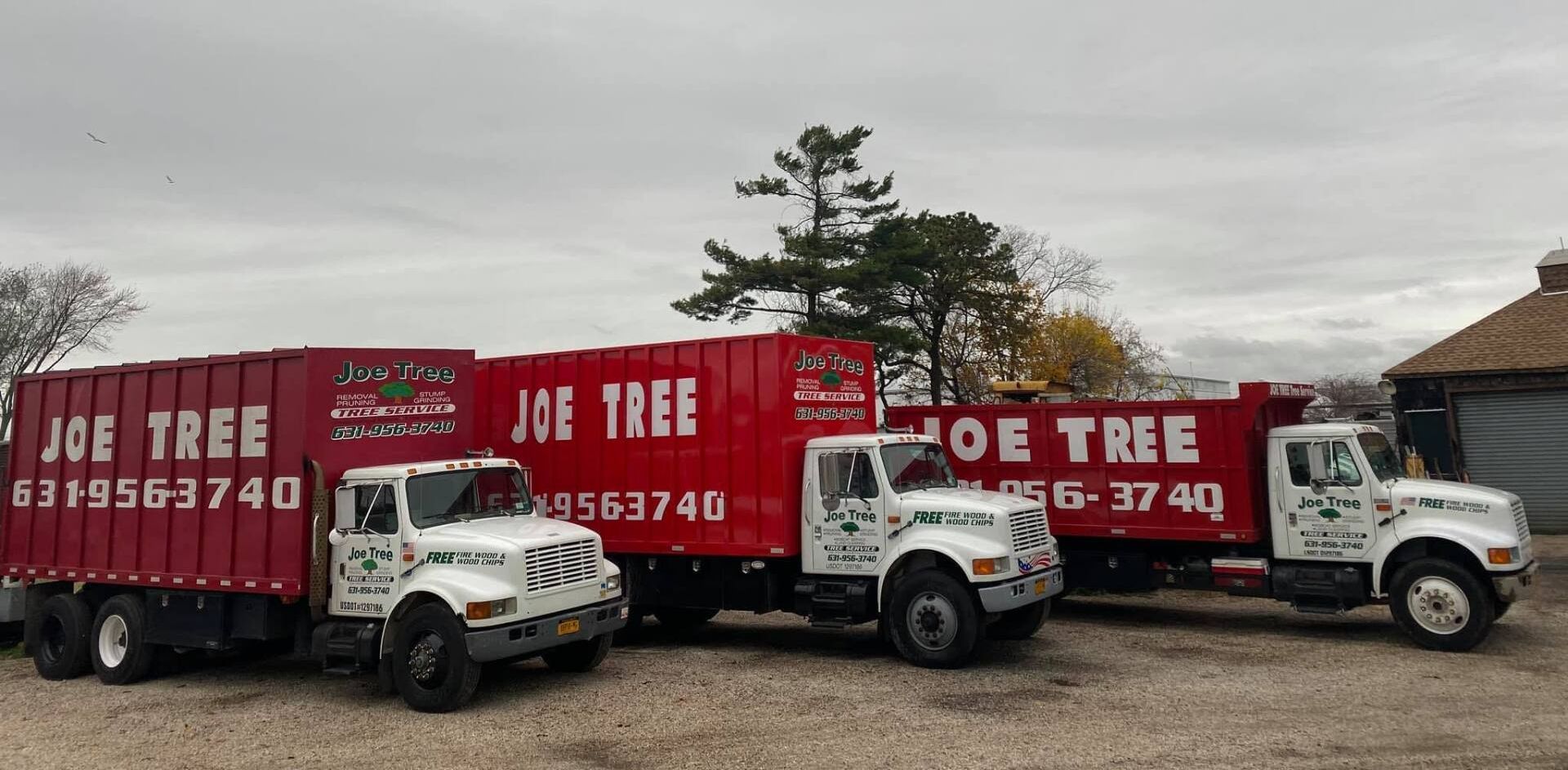 Tree Removal Copiague Tree Removal Copiague