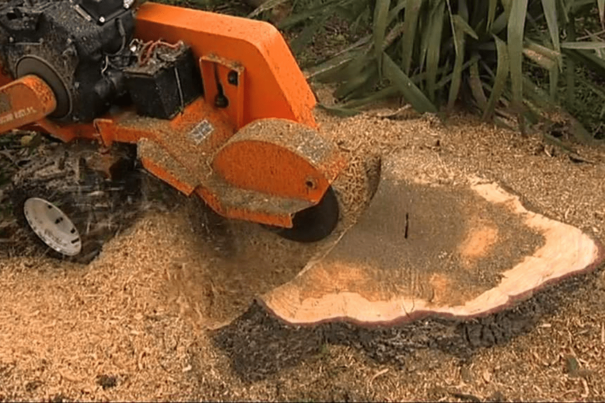 Stump Removal Long Island