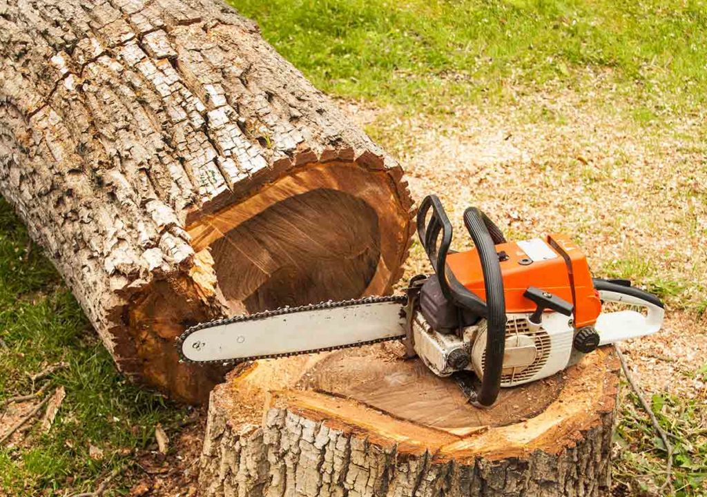 Tree Removal Copiague