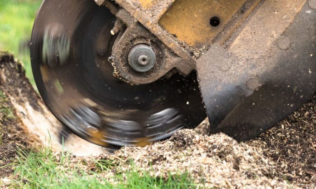 A machine is grinding a tree stump in the ground.