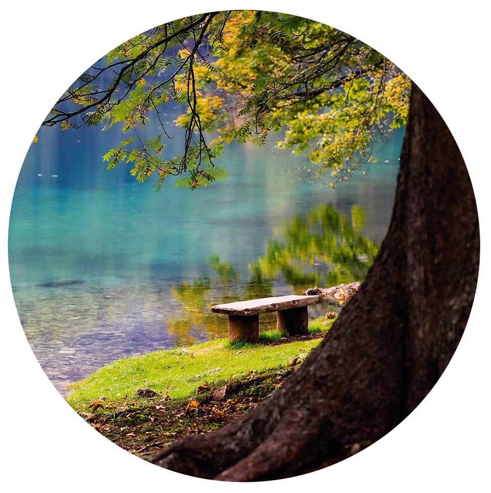 Eine Bank unter einem Baum lädt zum inne halten ein