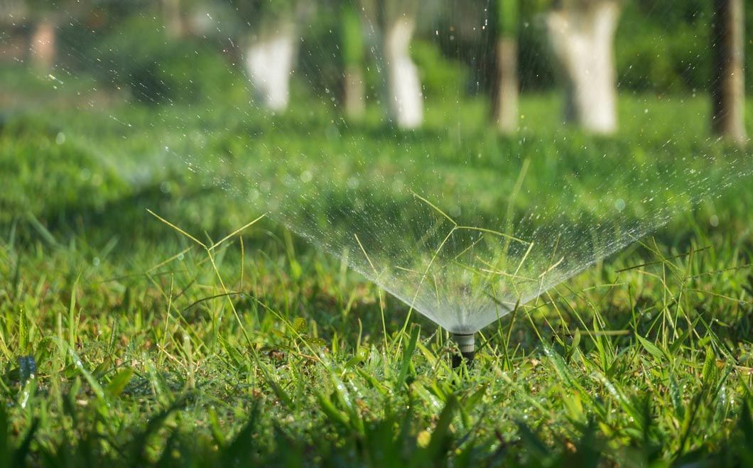 A sprinkler is spraying water on a lush green lawn.