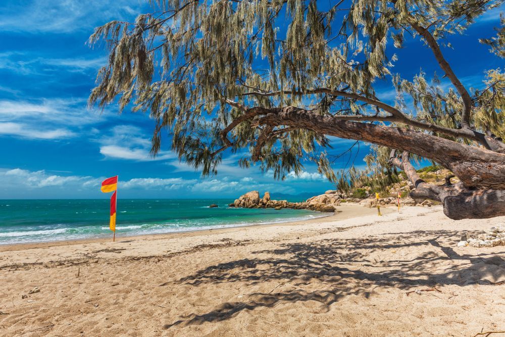 Sandy Beach With a View — Apex Antenna Solutions Pty Ltd in Hideaway Bay, QLD