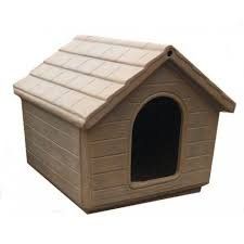 casa per cani