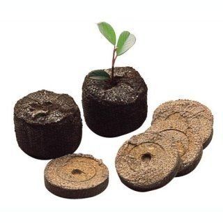 pianta pronta per essere piantumata