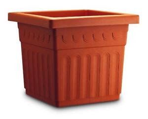 vaso