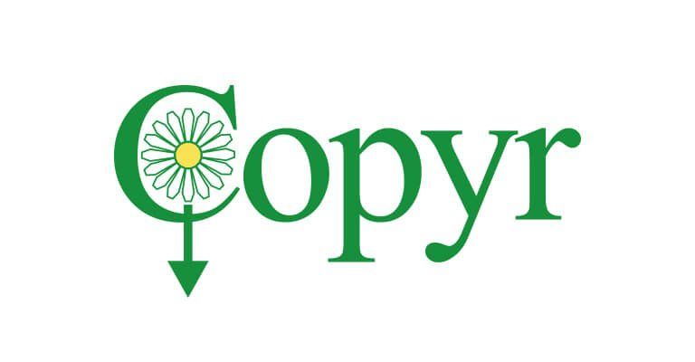 Copyr - Logo