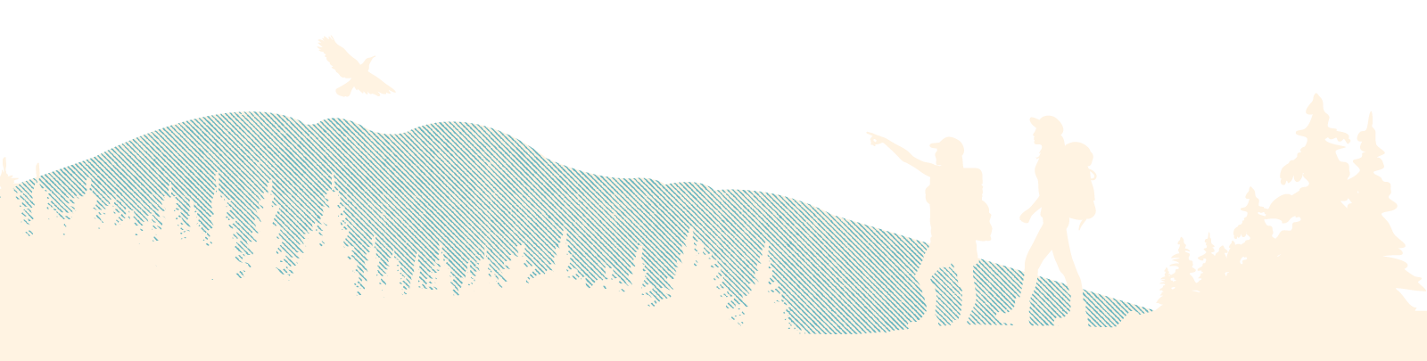 Pastel illustration of a pine forest with a lake and mountains at sunset