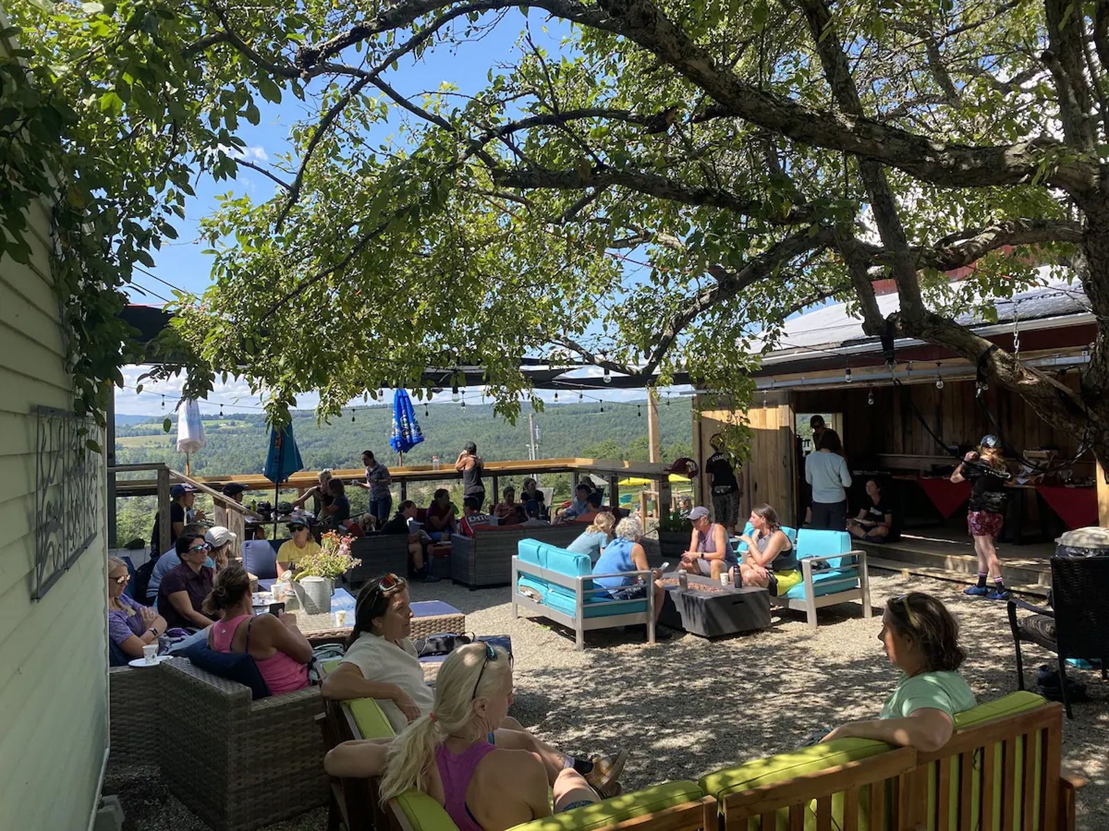 People seated outdoors under trees at a patio bar overlooking a grassy landscape.