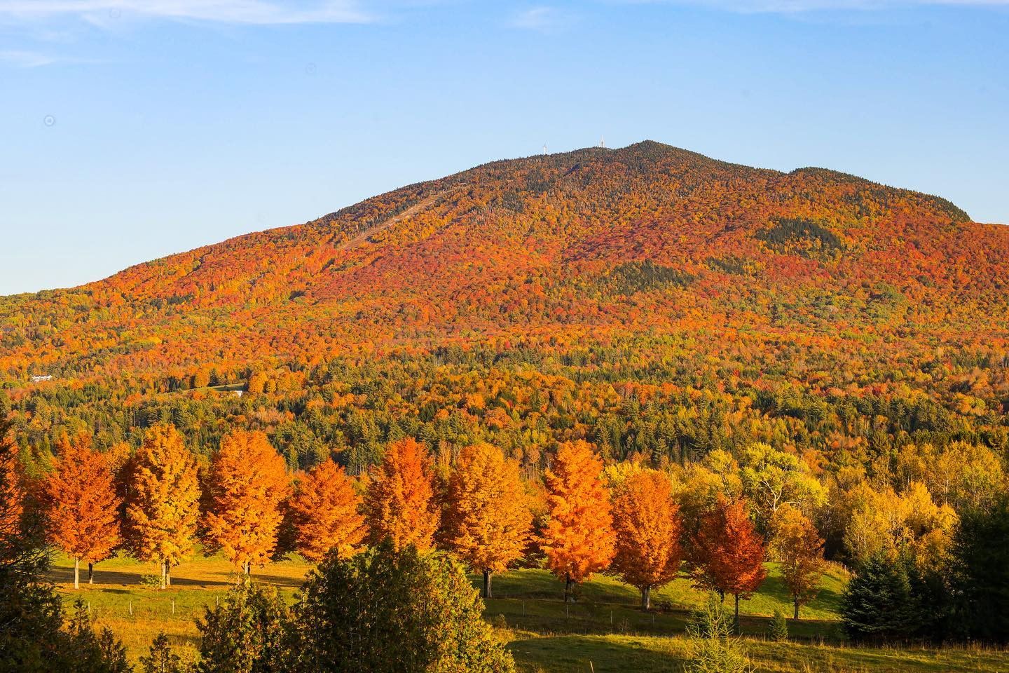 Autumn mountain covered in orange and green foliage under a clear blue sky