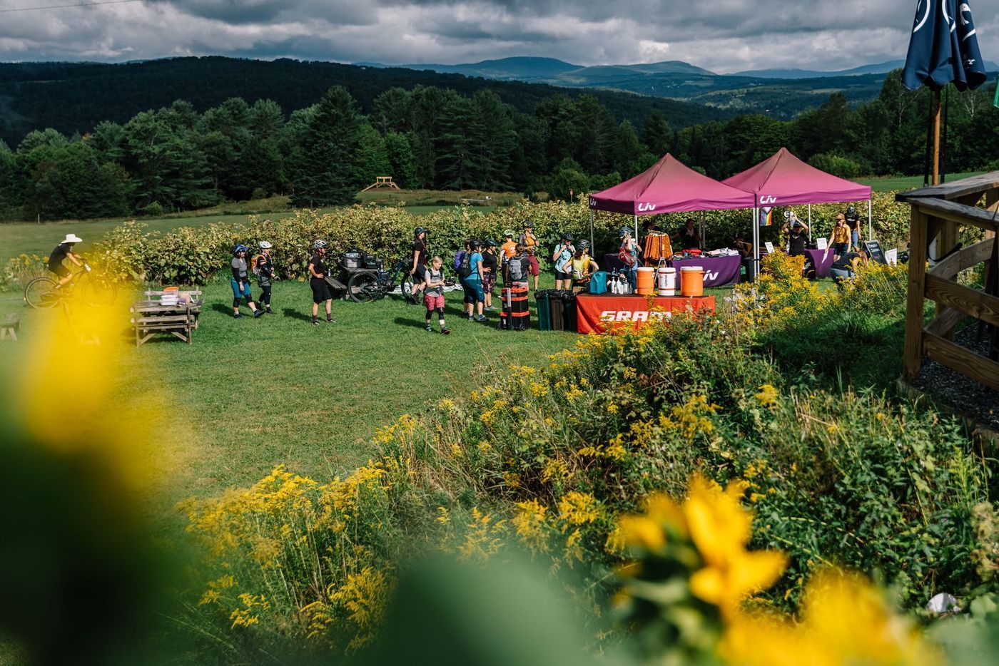 Outdoor gathering in a flower field with pink tents, seated people, and yellow wildflowers in the foreground